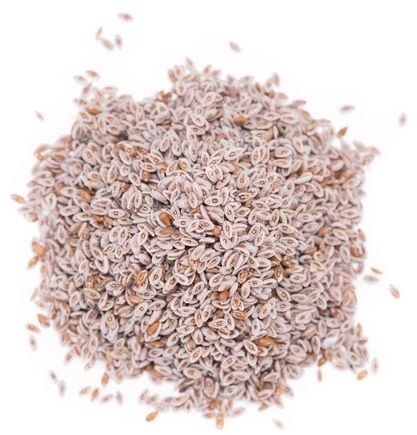 NASIONA BABKI JAJOWATEJ BIO (SUROWIEC) (25 kg) NASIONA BABKI JAJOWATEJ BIO (SUROWIEC) (25 kg)